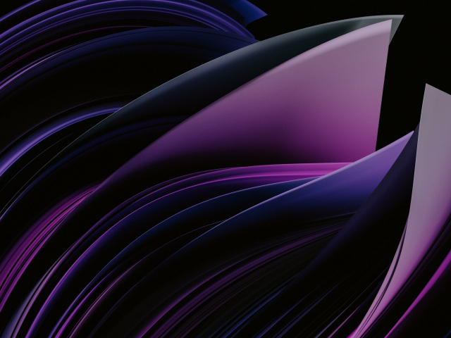 Фиолетовые абстрактные лепестки на черном фоне
