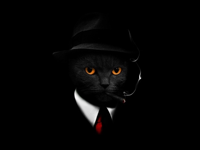 Кот в костюме на черном фоне