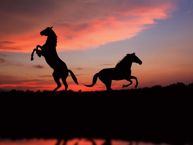 Два силуэта лошади на фоне заката