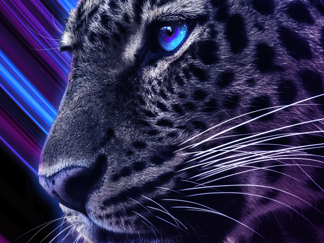 Голова леопарда с голубыми глазами