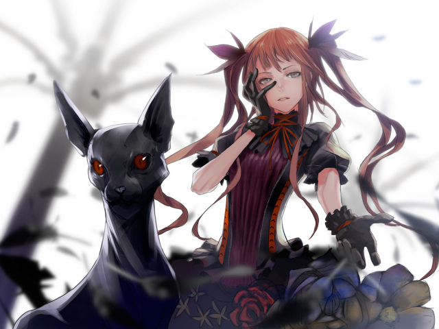 Девушка аниме с черным котом