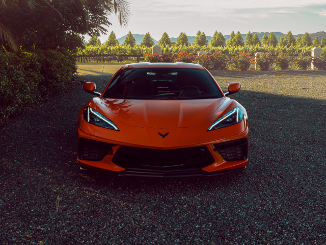 Автомобиль Chevrolet Corvette C8 вид спереди