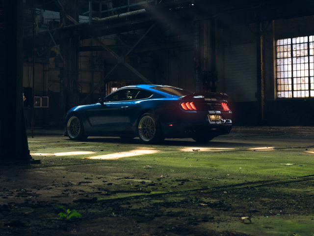 Автомобиль Ford Shelby GT350  вид сзади