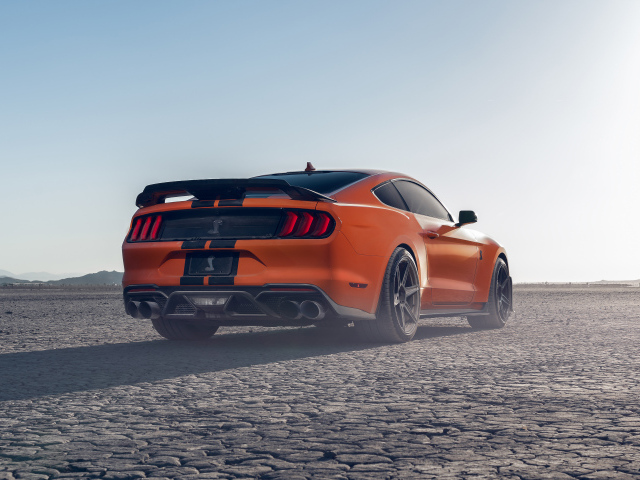 Быстрый Ford Shelby GT500 вид сзади