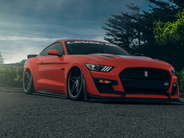 Красный автомобиль Ford Shelby GT500  на дороге