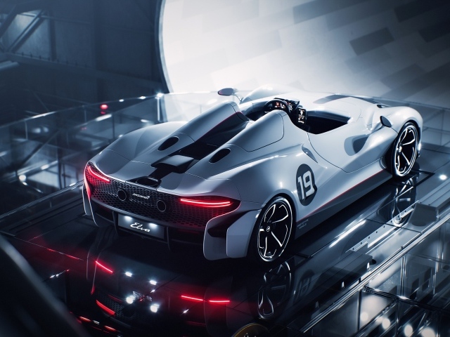 Вид сзади на автомобиль McLaren Elva