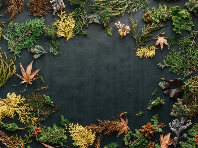 Серый фон с растениями