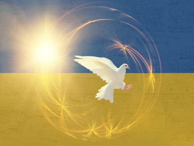 Белый голубь на фоне флага Украины