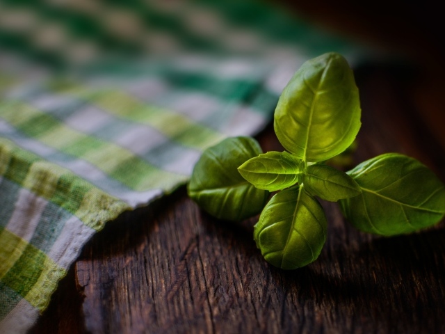 Зеленые листья базилика на столе с полотенцем