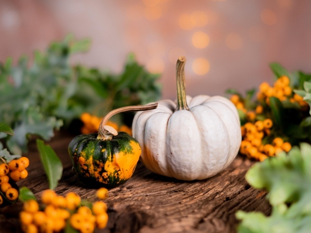 Тыква с ягодами рябины на столе