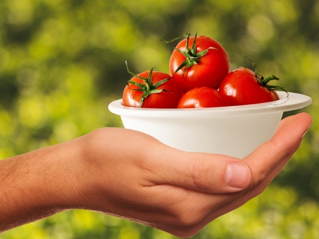 Спелые томаты в белой тарелке на руке