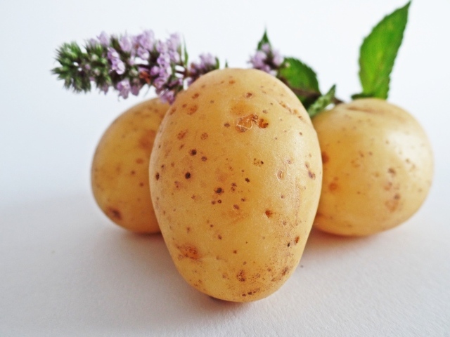 Молодой картофель с цветами мяты
