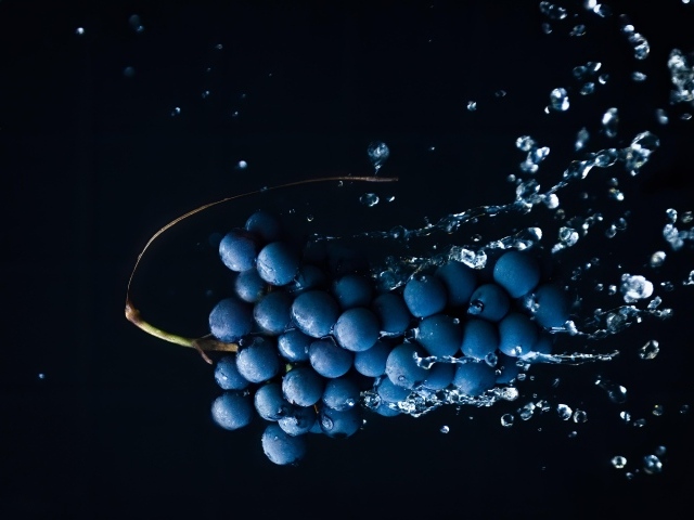 Гроздь синего винограда в брызгах воды на черном фоне
