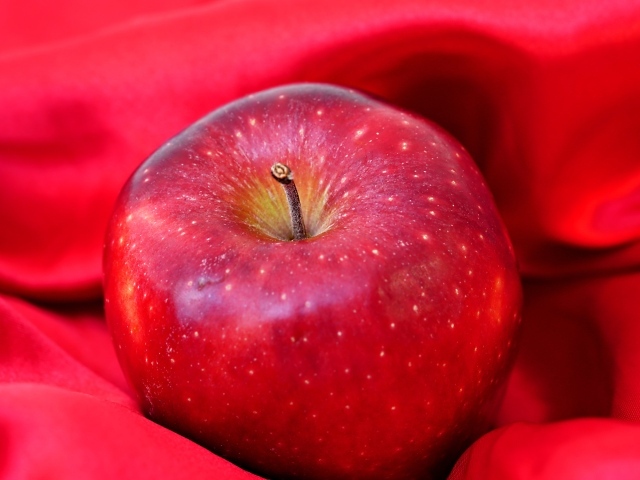 Большое красное яблоко лежит на ткани