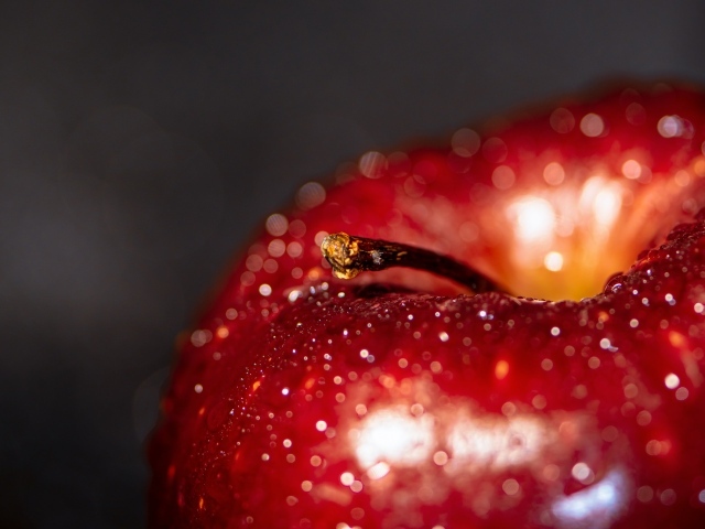 Большое мокрое красное яблоко на сером фоне
