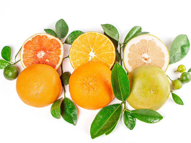 Цитрусовые фрукты с зелеными листьями на белом фоне