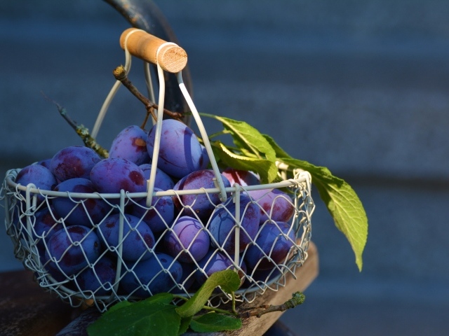 Спелые синие сливы в корзине на столе