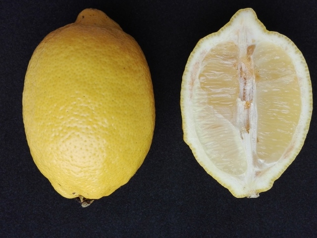 Разрезанный лимон на черном столе
