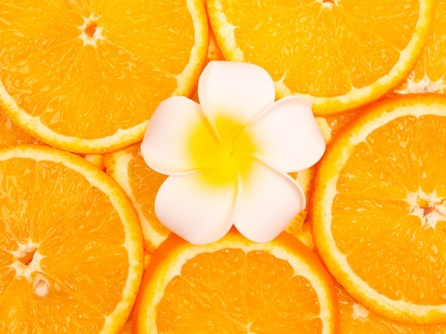 Белый цветок плюмерии с кружочками апельсина
