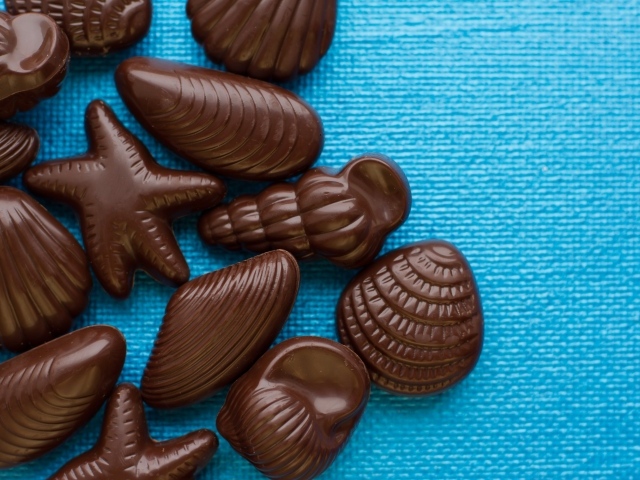 Шоколадные конфеты в форме ракушек на голубом фоне
