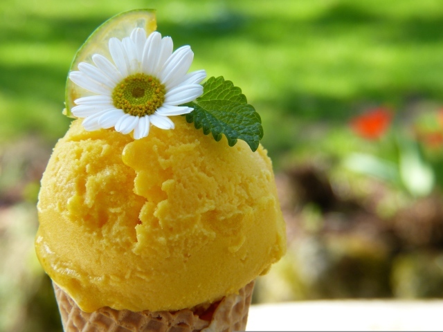 Желтое фруктовое мороженое с цветком ромашки