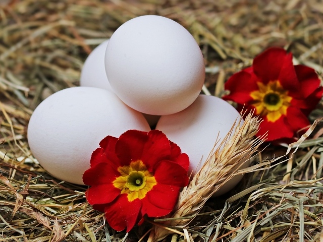 Белые яйца с цветами в гнезде на праздник Пасха