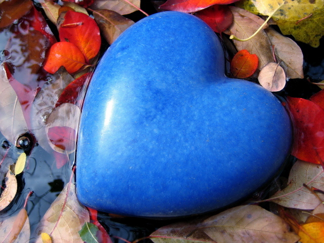 Большое голубое сердце лежит на листве