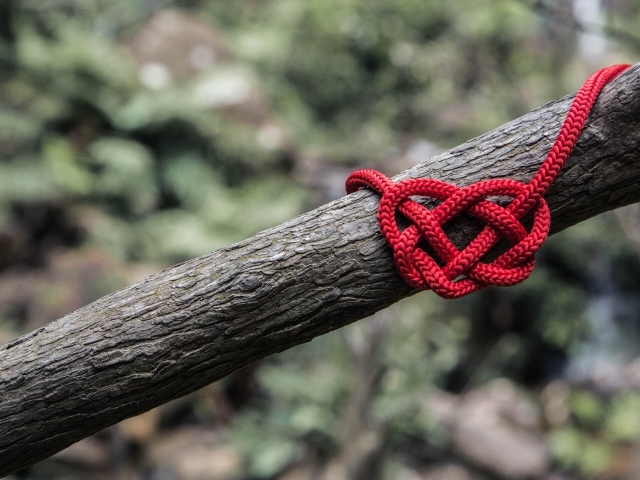 Красное сердце из веревки на дереве
