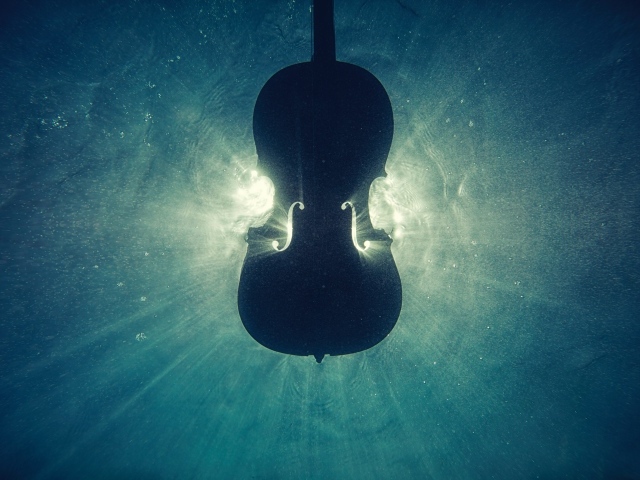 Скрипка лежит в воде