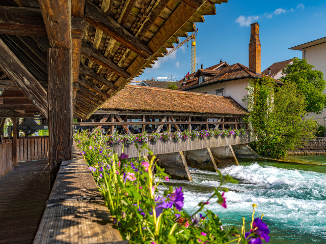 Красивый деревянный мост с цветами через реку