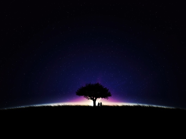Большое дерево на фоне неба ночью
