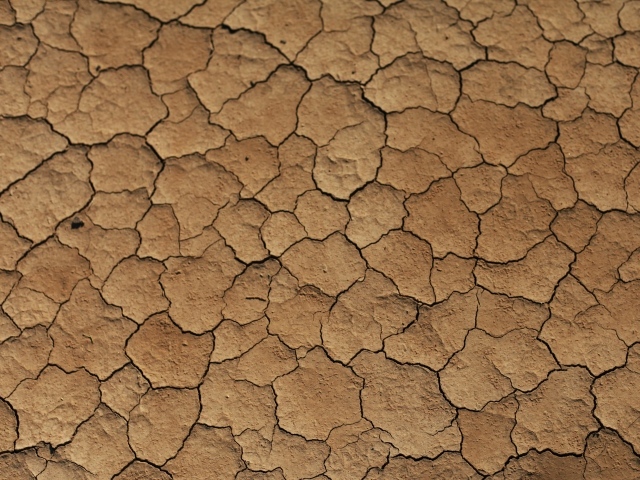Трещины на сухой земле 