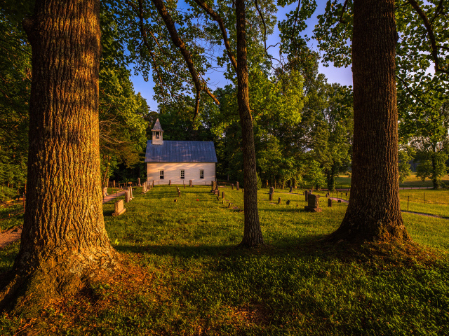 Дом в парке с зеленой травой летом