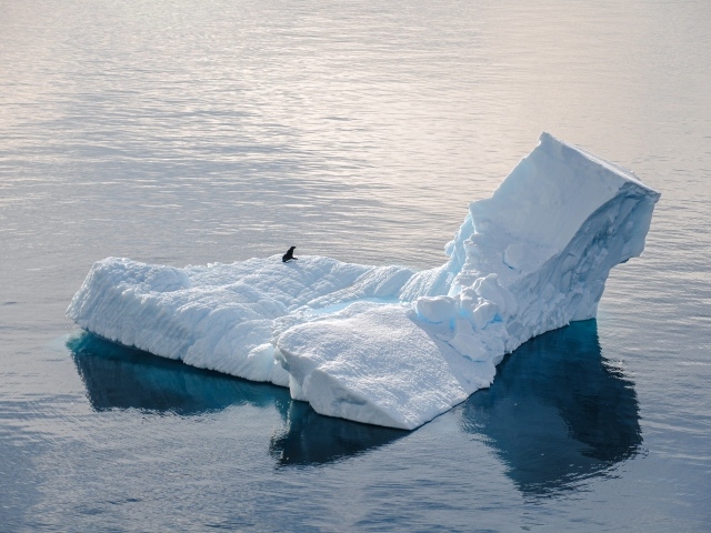 Большой холодный айсберг водах Антарктики