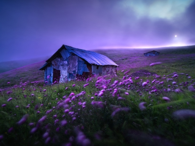 Старый дом с сиреневыми цветами на холме