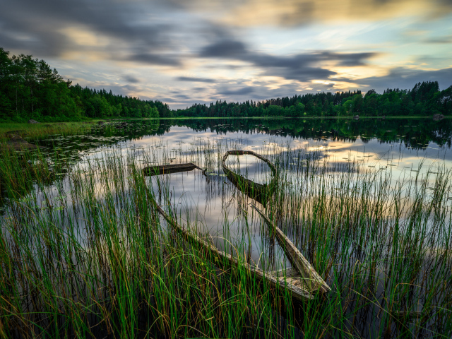 Старая затонувшая лодка в пруду