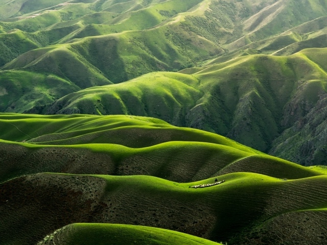 Вид на красивые зеленые холмы