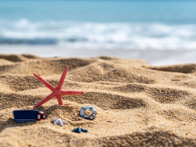 Красная морская звезда и игрушки на песке у моря летом