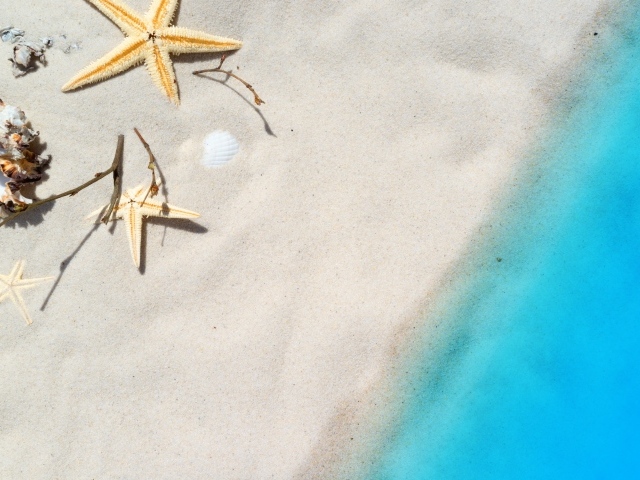 Морские звезды и ракушки на белом песке у голубой воды