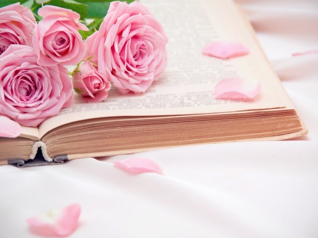 Букет розовых роз лежит на книге