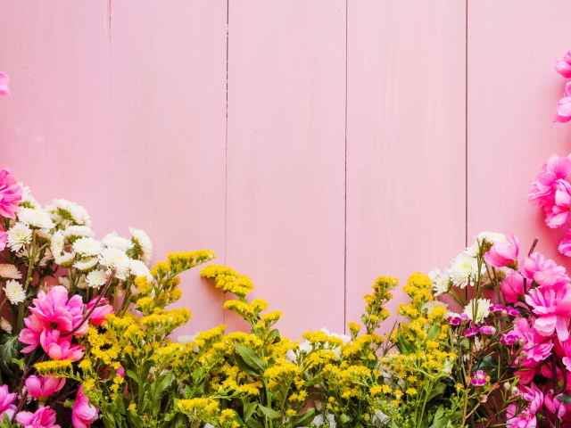 Красивые цветы на розовом фоне