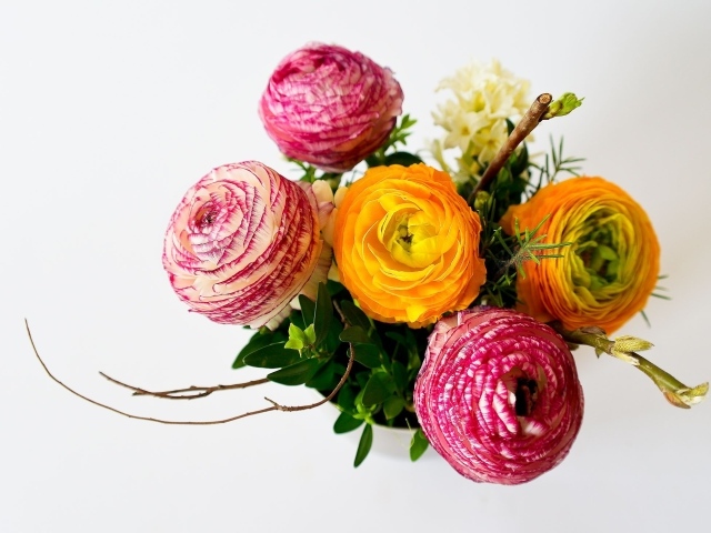 Букет разноцветных цветов лютика на сером фоне