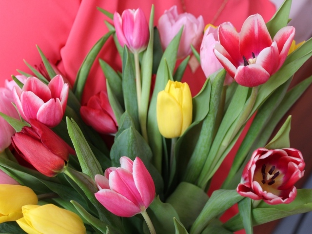 Букет разноцветных тюльпанов крупным планом