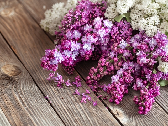 Букет сирени на деревянном столе