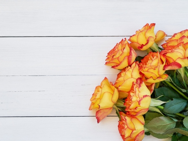 Букет оранжевых роз на белом деревянном фоне