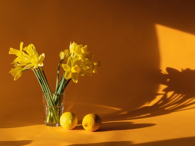 Букет желтых нарциссов в вазе на столе с лимонами