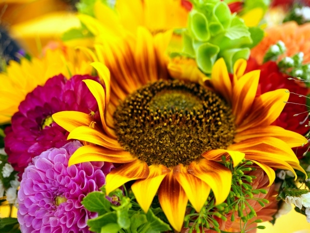 Букет с цветами подсолнуха и георгины