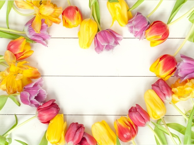 Сердце из разноцветных тюльпанов на белом столе