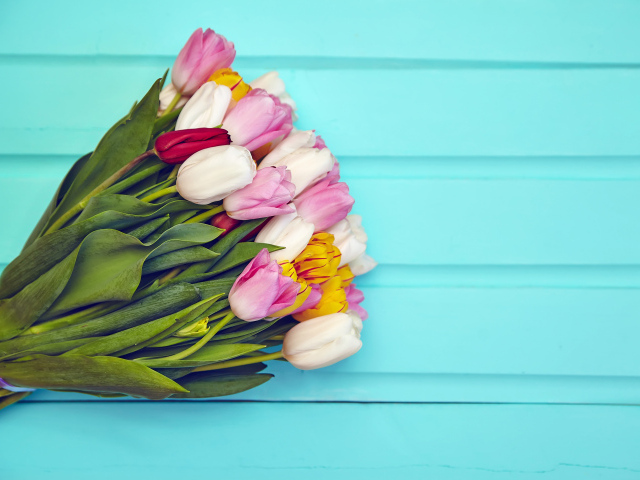 Большой букет разноцветных тюльпанов на голубом фоне