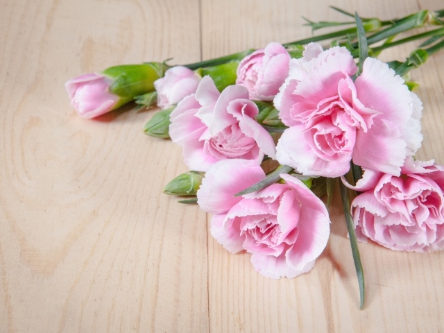 Розовые гвоздики на столе